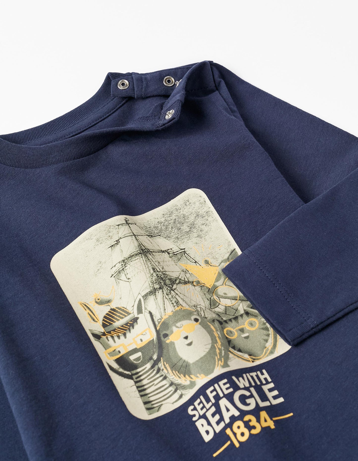 Camibuso animales de la selva