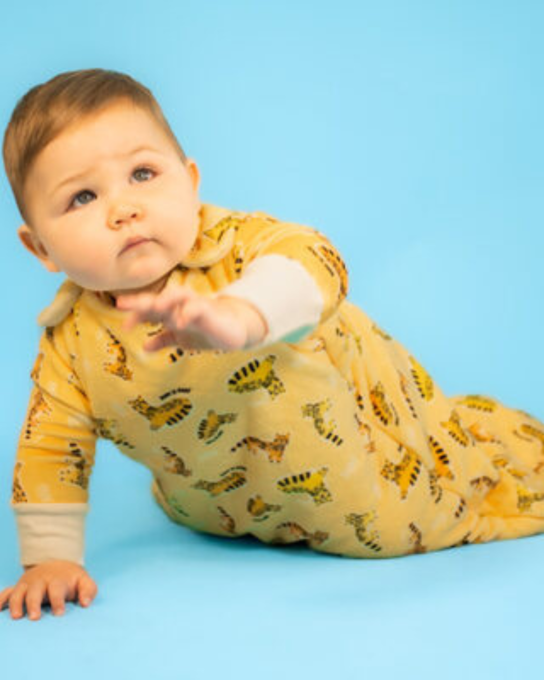 Sleeping Bag Tigrillo Lanudo