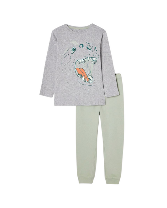 Pijamas dinosaurio niño
